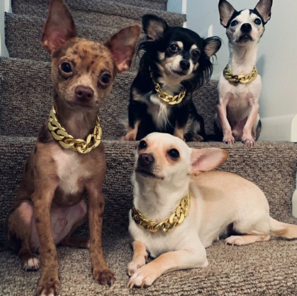 🎉HP🎉Y2K Hip hop Fashion Chain Dog Collar - Picture 2 of 11